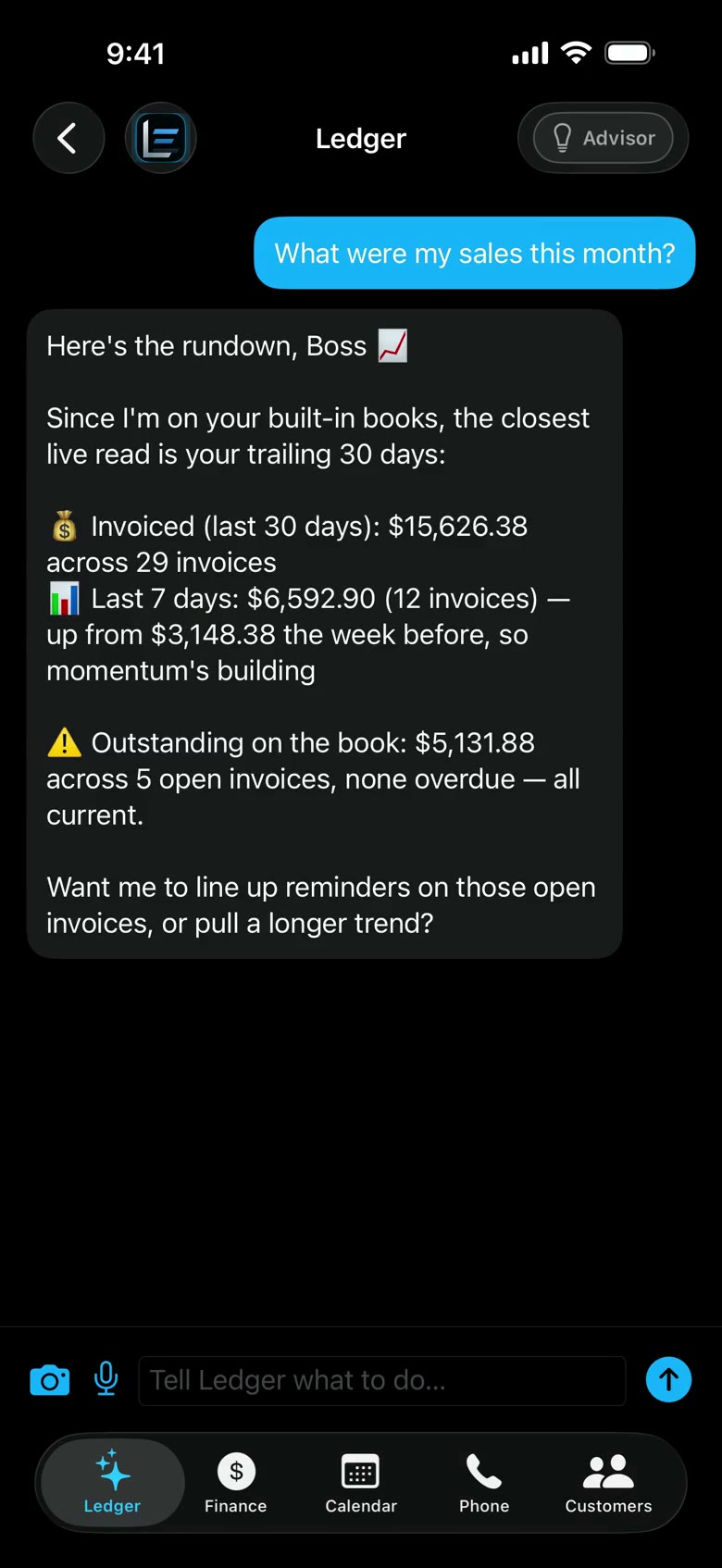 Ledger AI Ask Ledger screen, recorded with demo data